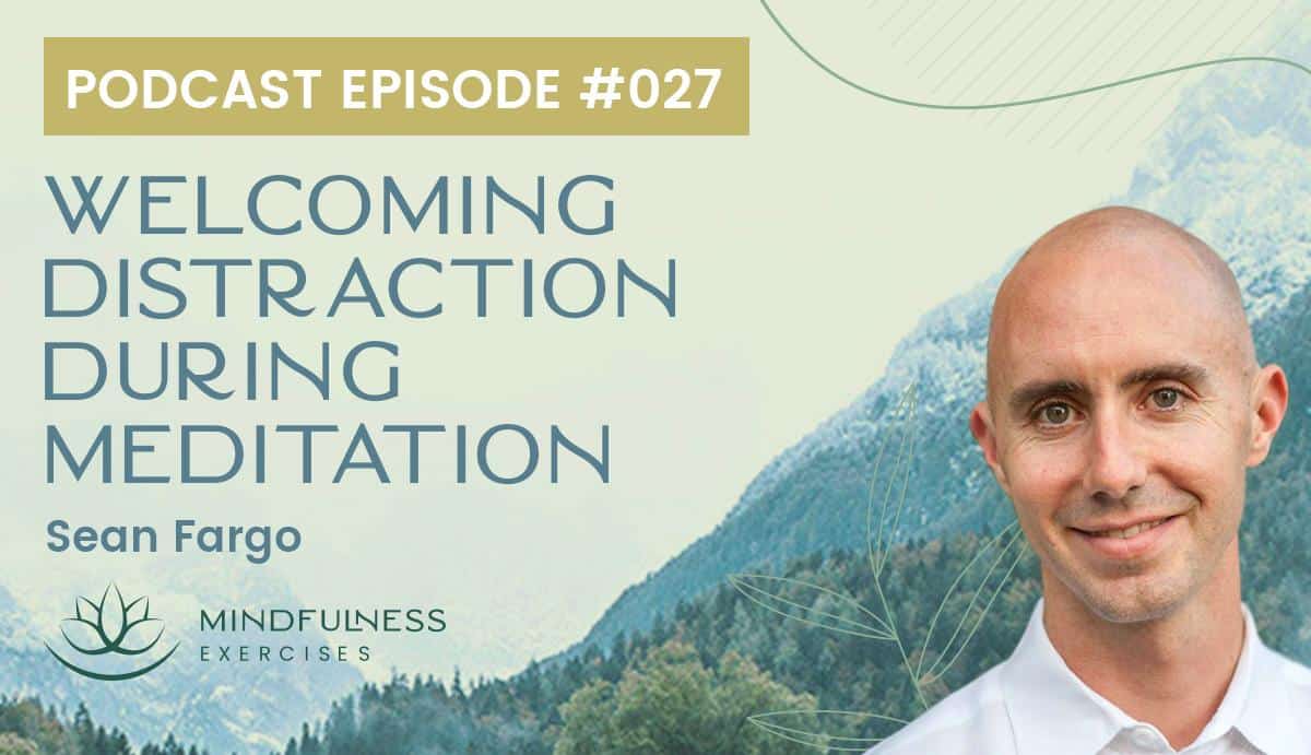 Welcoming Distraction During Meditation - Sean Fargo