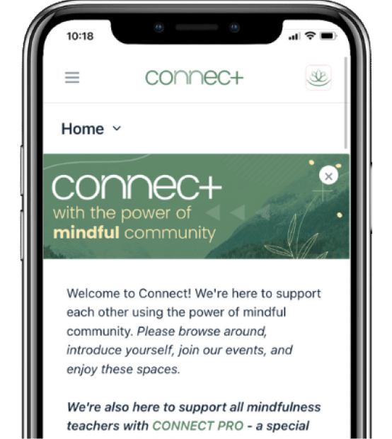 iOS-App 1