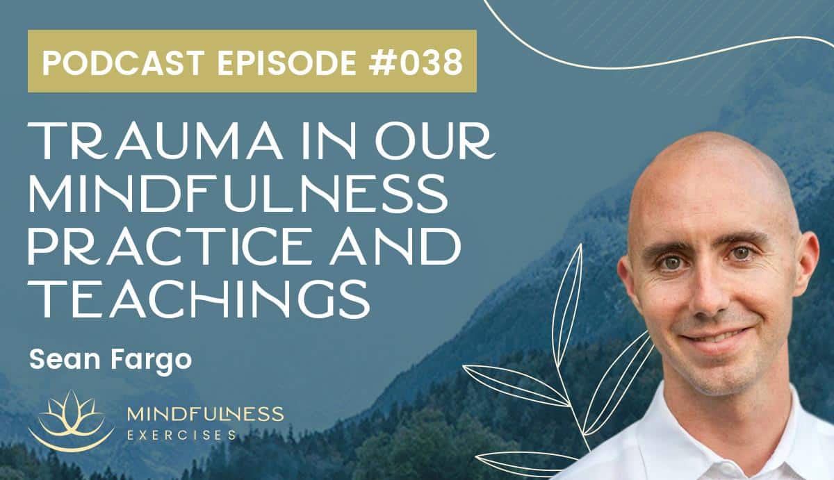 Trauma in our Mindfulness Practice and Teachings, with Sean Fargo
