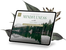 , Premium Mindfulness &#038; Meditation Trainings