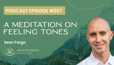 A Meditation On Feeling Tones, With Sean Fargo