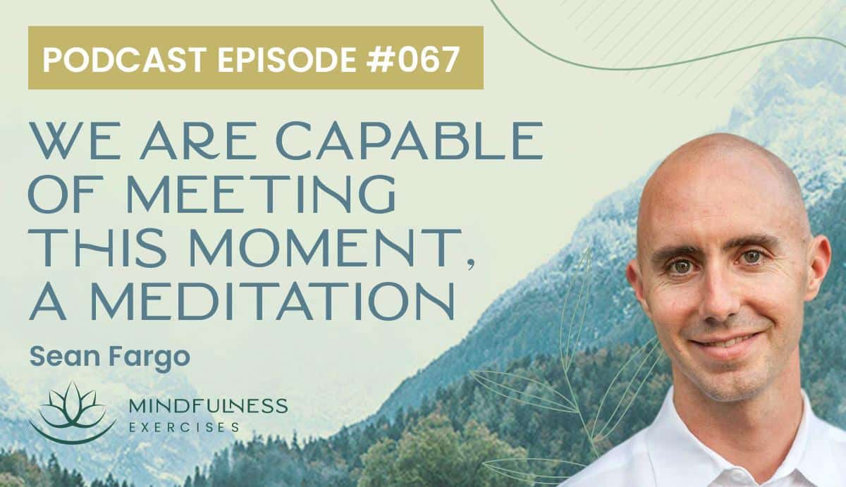 We Are Capable of Meeting This Moment, A Meditation with Sean Fargo