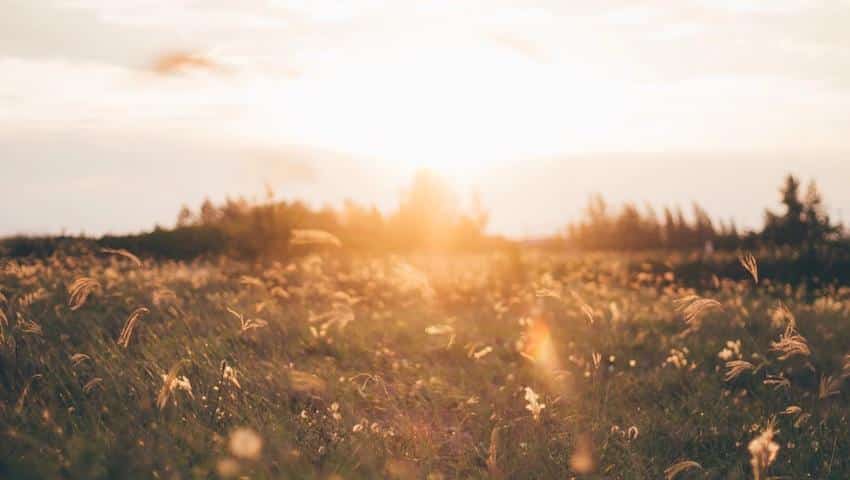 The Power of Healing Quotes The Power of Healing Quotes