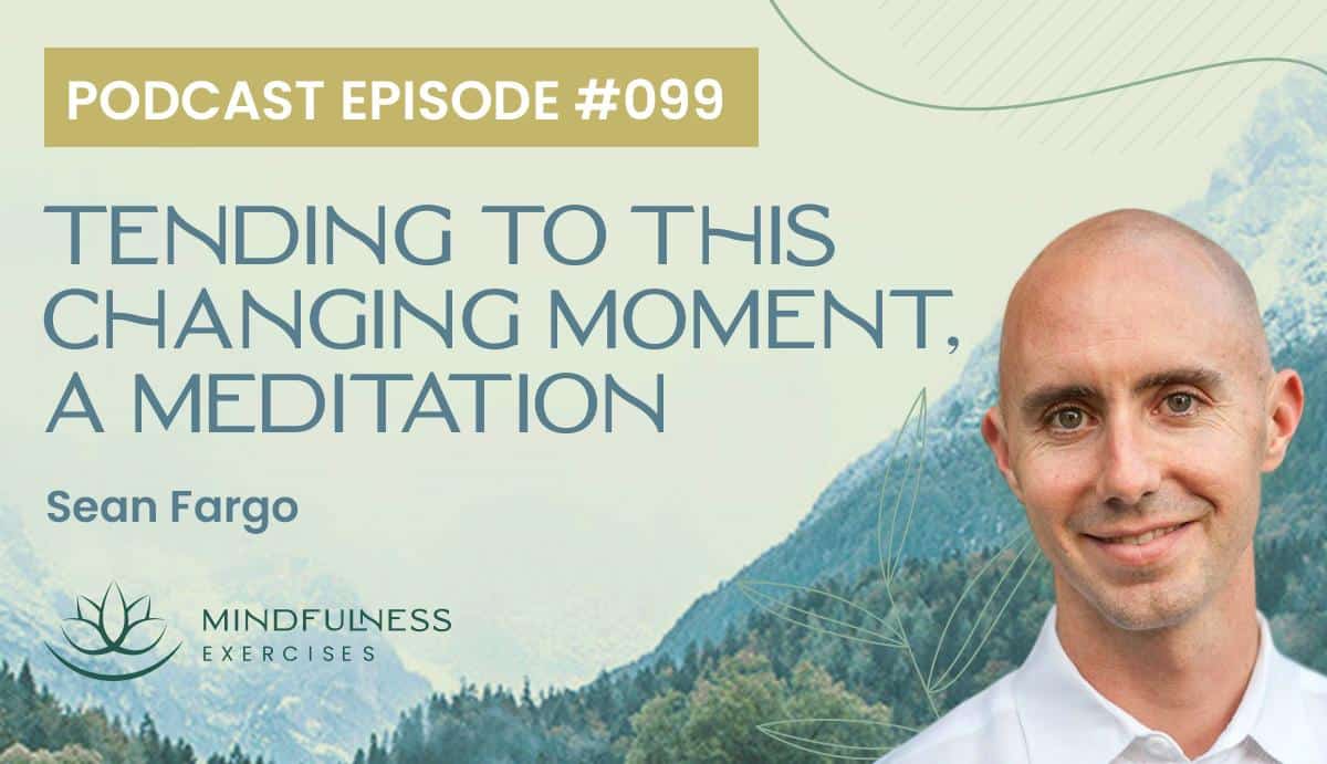 Tending To This Changing Moment, A Meditation with Sean Fargo