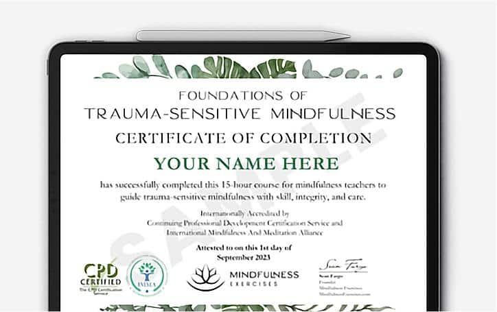 , Premium Mindfulness &#038; Meditation Trainings