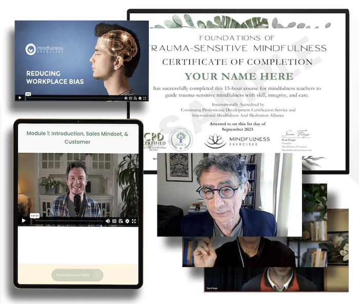 mindfulness teaching, Mindfulness Teaching Accelerator
