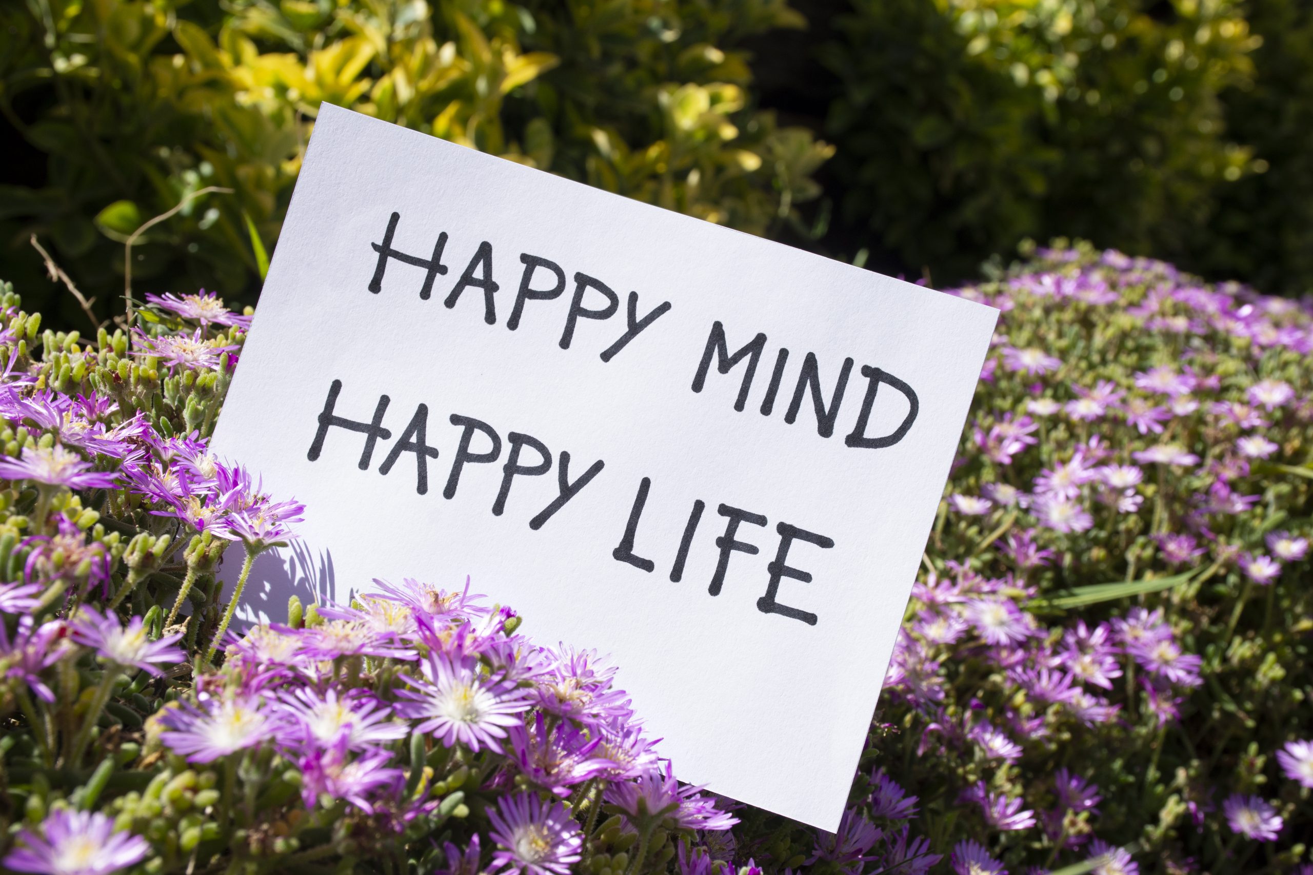 affirmations for mindfulness, Affirmations vs Mindfulness: How They Complement Each Other