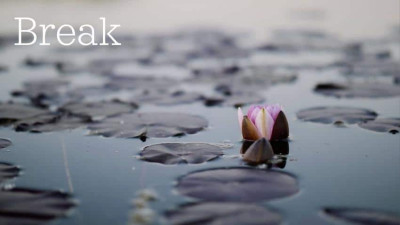 , Brandable Mindfulness Meditation Curriculum