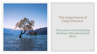 , Brandable Mindfulness Meditation Curriculum