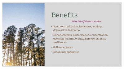, Brandable Mindfulness Meditation Curriculum