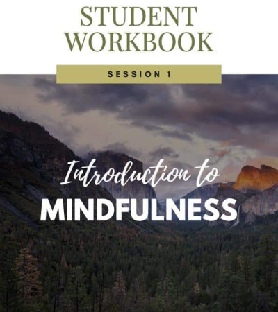 , Brandable Mindfulness Meditation Curriculum