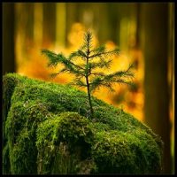 Increasing Creativity (Binaural Beat) Increasing Creativity (Binaural Beat)