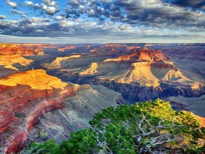 Lessons from Nature