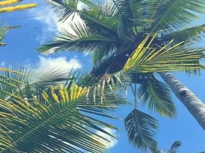 Mindfulness Exercise on Lessons From Nature