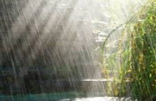Lessons from Nature