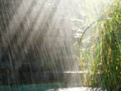 Lessons from Nature