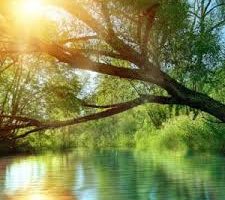 1 Minute Meditation 1 Minute Meditation
