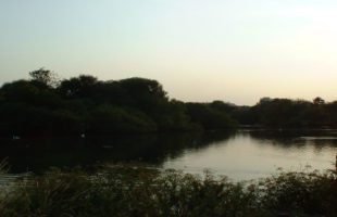 The Floodlights Of Awareness