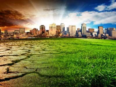 Transforming Suffering nature