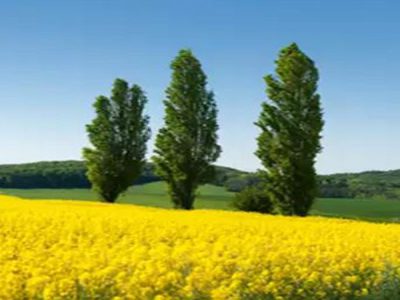 Teachings On Nature