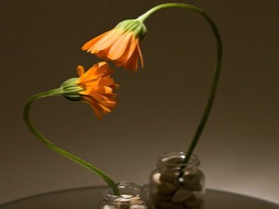 Mindful sexuality