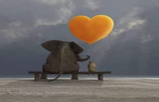 Increasing Loving Kindness
