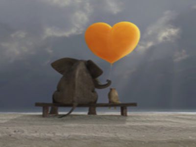 Increasing Loving Kindness