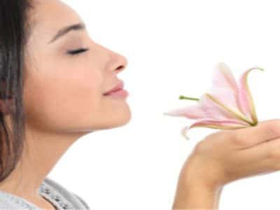 Opening Your Senses