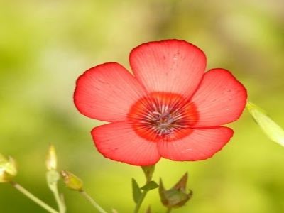 Increase Optimism