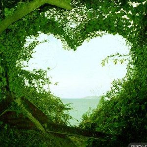 Nature of Awareness
