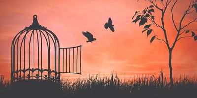 Stress, Relaxation & Freedom