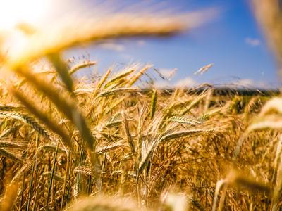 The Foundation for all Abundance