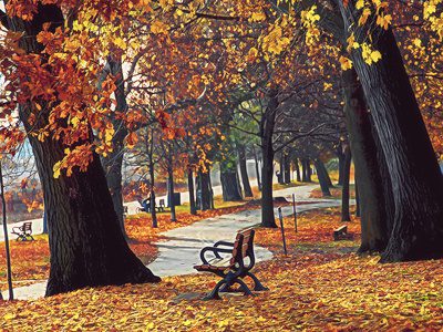 Keys to a long retreat