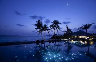 Evening affirmations of gratitude