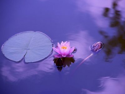 Five Minute Meditation