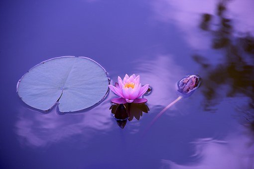 Five Minute Meditation