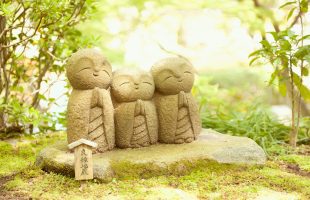 Mystery of aliveness