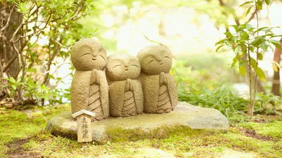 Mystery of aliveness